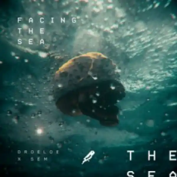 DROELOE - Facing The Sea